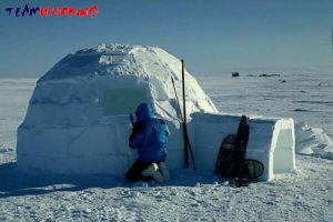 Igloo Building